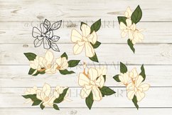 Magnolia SVG, white flowers bundle, fine art floral bouquet Product Image 5