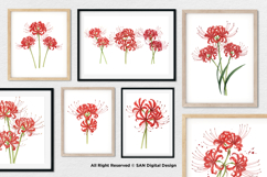 15 Bundle Watercolor Spider Lily Flower Higanbana Autumn Product Image 4