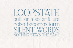 Boketto Elegant Contemporary Serif Font Product Image 4