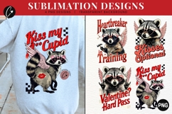 Funny Valentine Raccoon PNG - 4 Designs Product Image 1