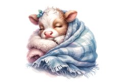 Baby Cow Product Image 4