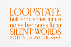 Retro Dream Elegant Vintage Serif Font Product Image 4