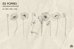 Poppies line art collection Svg Png Eps Product Image 4