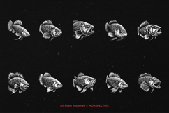 10 Bundle Dark Art Arowana Fish Dragon Fish Predator Aquatic Product Image 6