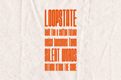 Aisling Condensed Display Font Family Product Image 4