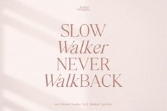 Perfect Strangers I Elegant Serif Product Image 11