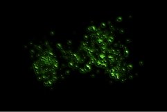 Neon Spray Product Image 4
