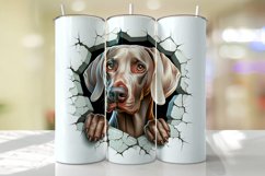 Weimaraner Peeking from the Cracked wall Tumbler Wrap Product Image 1