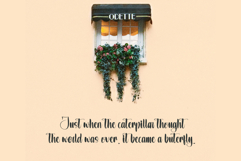 Raphity Product Image 4