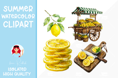 33 Mediterranean Coastal and Lemon collection bundle Product Image 5