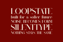 Quillin Elegant Luxury Serif Font Product Image 4