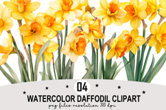Watercolor Daffodil Clipart png Whimsical Daffodil png Product Image 1