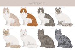 American Curl Cat clipart Product Image 2