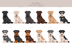 Scoodle, Scottiepoo dog mix Product Image 3