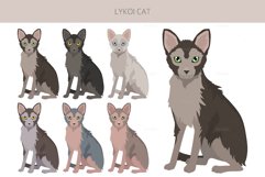 Lykoi cat clipart Product Image 3