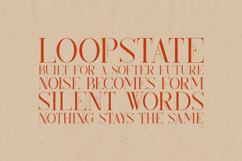 Kindel Display Serif Font Elegant Modern Editorial Typeface Product Image 4