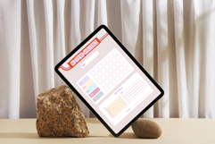 No Spend Challenge Printable Budget Savings PDF Product Image 3