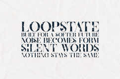 Defect Distressed Vintage Serif Font Product Image 5