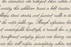 Doven Romantic Signature Script Font Product Image 4