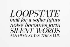 VSOP Cursive Elegant Serif Typeface Product Image 4