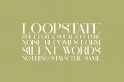 Inara Organic Serif Font Elegant Distressed Vintage Display Product Image 4