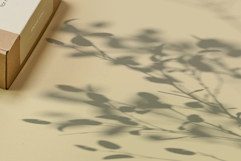 Plant Shadow Backdrops Video Bundle Product Image 4