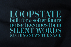 Wonderz Pulse Elegant Modern Serif Font Product Image 4