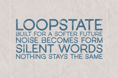 Nost Sans Rough Textured Sans Serif Font Product Image 4