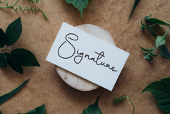 Party Christmas Product Image 4