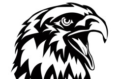 Eagle Svg/Png/Jpg/Ai/Vector birds/Patriotic eagle Product Image 5