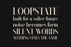 Black Goose Elegant Modern Serif Product Image 4