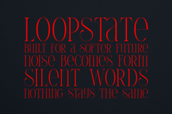 Thorn Tale Elegant Modern Serif Font Product Image 4