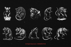 10 Bundle Dark Art Death Rat Plague Skull Rattus Disease Product Image 6