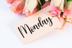 Schooling Product Image 4