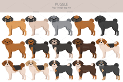 Puggle Pug Beagle mix Product Image 2