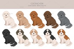 Cockachon. Cocker Spaniel Bichon mix Product Image 3