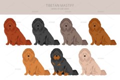 Tibetan Mastiff clipart Product Image 3