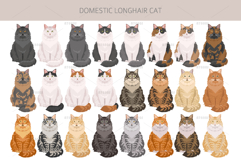 Domestic longhair cat Product Image 3