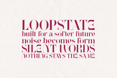 Wonderz Avant Edition Modern Artistic Serif Font Product Image 4