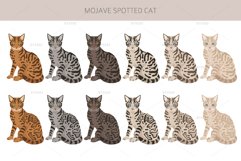 Mojave Spotted cat Product Image 3