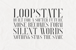 Searchlight Luxury High Contrast Serif Font Product Image 4