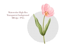 Watercolor Tulips Clipart, Spring Flowers PNG Graphics Product Image 6