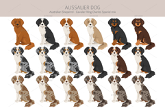 Aussalier dog Product Image 3
