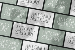 Delaproza - Modern Allcaps Serif Product Image 4
