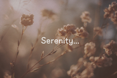 Hygge Vibes Cozy Decorative Font Product Image 4