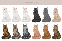 Turkish Angora cat Product Image 3
