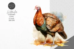 Thanksgiving clipart, Turkey clipart, Autumn clipart, Product Image 1