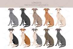 Longdog. Greyhound/Sighthound mix Product Image 3