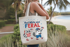 4th of July Raccoon Patriotic PNG Sublimation Design Product Image 4