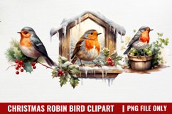 Watercolor Christmas Robin Bird Clipart Product Image 1